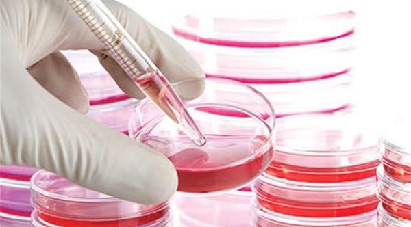 دراسة: أمل جديد لعلاج التهاب المفاصل بالخلايا الجذعية