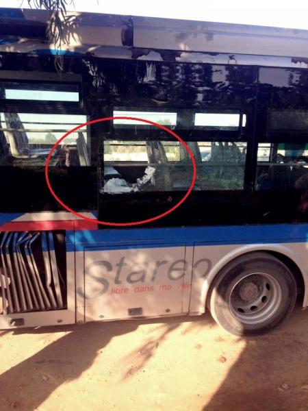 حافلات ستاريو