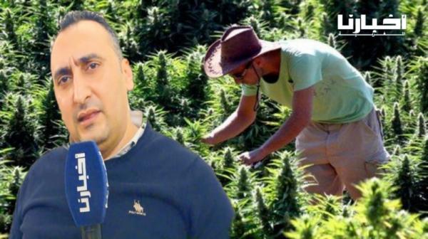 شارية: تقنين "الكيف" لا يجب أن يحوّل مزارعيه إلى عبيد لبعض اللوبيات والفلاح يجب أن يعيش رأسه عاليا