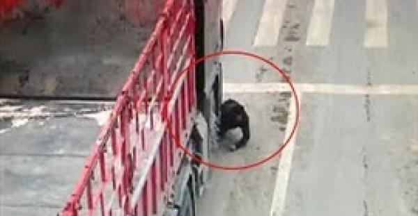 بالفيديو.. رجل ينجو من الموت تحت عجلات شاحنة بأعجوبة