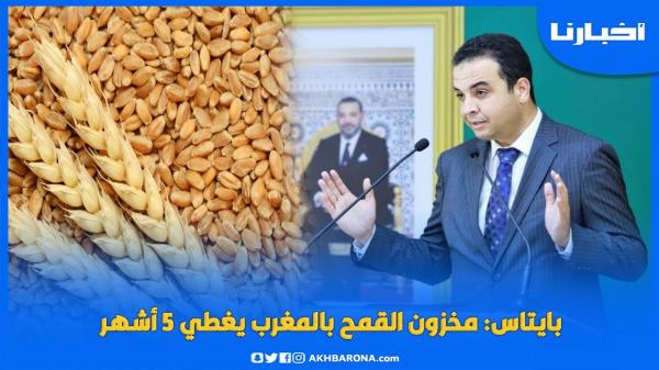بايتاس: مخزون القمح بالمغرب يغطي 5 أشهر ونتوفر على ما يكفي من المحروقات