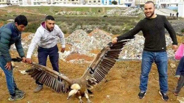 الصورة من الأرشيف