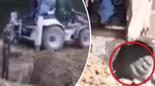 مفاجأة غير متوقعة لعمال وهم يحفرون الأرض