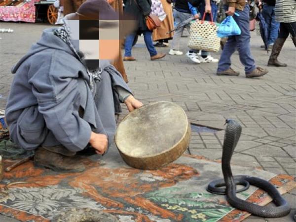 450 درهما مقابل صورة تذكارية مع ثعبان بجامع الفنا!