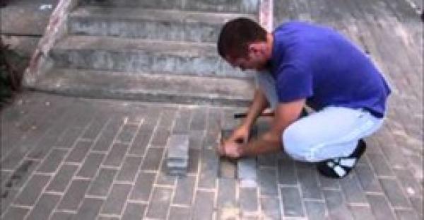 بالفيديو.. شاب ينقذ كلبة حامل دفنت حية تحت الرصيف بروسيا