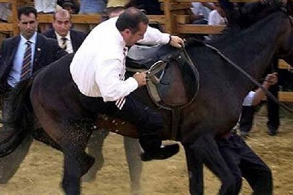 بالفيديو.. حصان عربي يطرح إردوغان أرضا