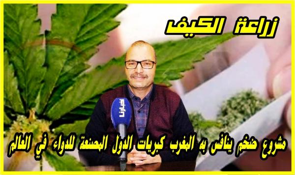 المحرشي يتحدث عن مشروع ضخم سيجعل من كتامة والمناطق المجاورة قبلة خاصة لأكبر الشركات العالمية المصعنة للدواء