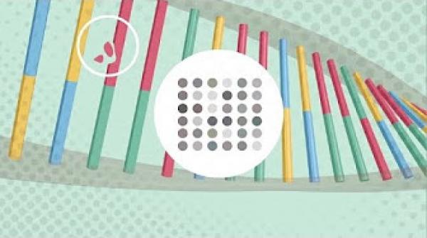 ما هو الحمض النووي