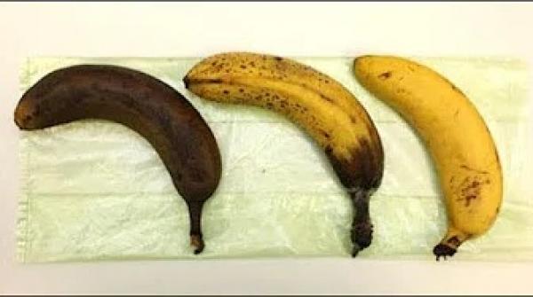 هل تعلم ماذا يحدث لجسمك عند تناول الموز الأسود . لن تصدق !
