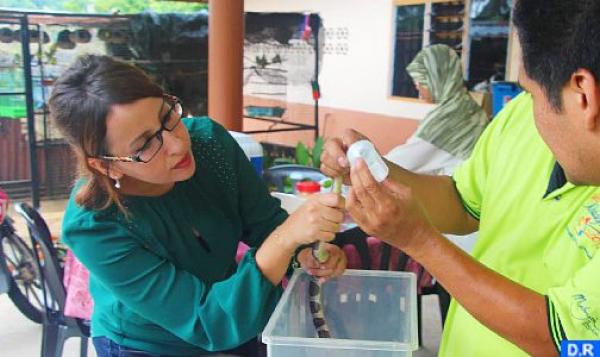 باحثة مغربية ضمن “بطلات” التوعية بلدغات الأفاعي في العالم