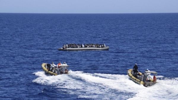 في واقعة غير مسبوقة...عائلة مغربية تصطحب معها قطا على متن قارب للهجرة السرية (صورة)