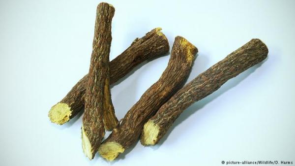 لهذه الأسباب يجب أن تكثر من شرب عرق السوس