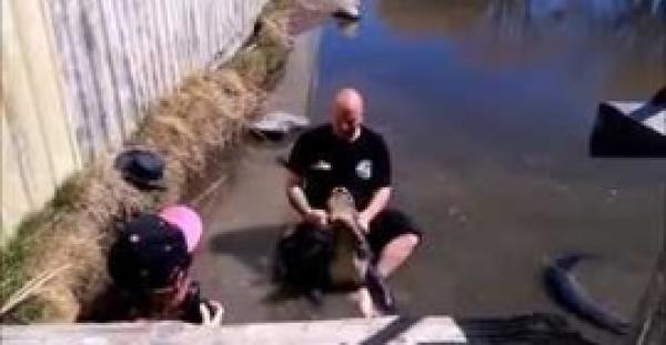 بالفيديو.. شاهد ماذا فعل تمساح في شاب حاول الاستعراض أمام صديقته