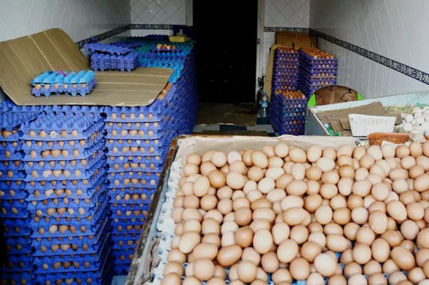 "أونسا" تحذر المغاربة من البيض خلال شهر رمضان