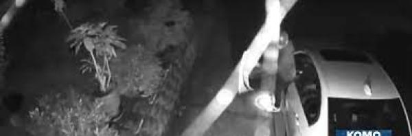 في أقل من دقيقة.. عصابة تسرق سيارة من سائقها(فيديو)