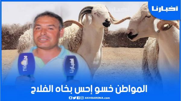 أكبر حولي في سوق تطوان واصل ثمنه ل6000 درهم وفلاح ل"أخبارنا": المواطن خاصو يحس بينا راه حنا مضرورين