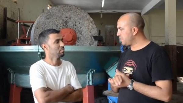 الاستعداد لموسم جني الزيتون بمنطقة زمران ضاحية اقليم قلعة السراغنة
