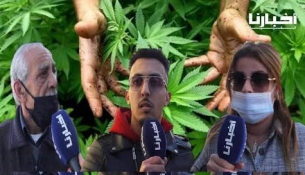 كيف علق المغاربة على "تقنين الكيف" بعد سنوات من الانتظار والترقب؟