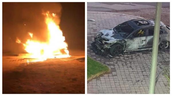 صورة حقيقية