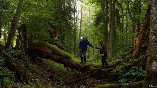 أرادا الاستمتاع بيوم عيد الحب! فتحولت النزهة إلى كابوس