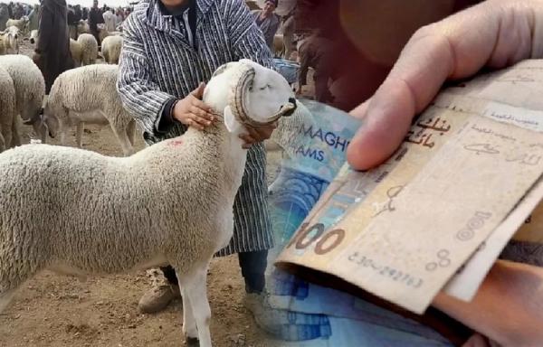 عاجل .. أخنوش يعلن صرف أجور الموظفين قبل أسبوع من يوم عيد الأضحى