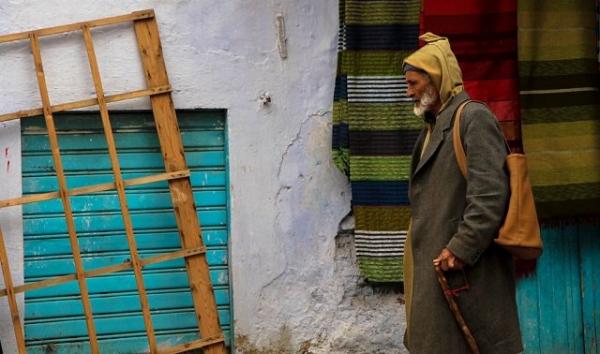 رسميا: قانون تقاعد المهنيين والعمال المستقلين يصدر بالجريدة الرسمية