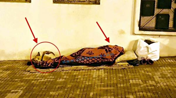 مؤلم جدا : صورة متشرد و كلبه يفترشان الشارع في عز هذا البرد تشعل الفيسبوك