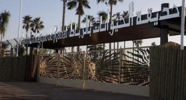 أزيد من 3،5 مليون زائر للحديقة الوطنية للحيوانات بالرباط منذ افتتاحها عام 2012