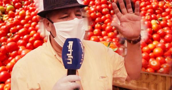 بالفيديو: "المامون" يكشف أسباب ارتفاع سعر "الطماطم" بشكل صاروخي ويطالب "أخنوش" بحماية جيوب المغاربة