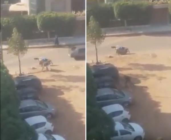 شخص يسرق اشارة طرقية بالدار البيضاء