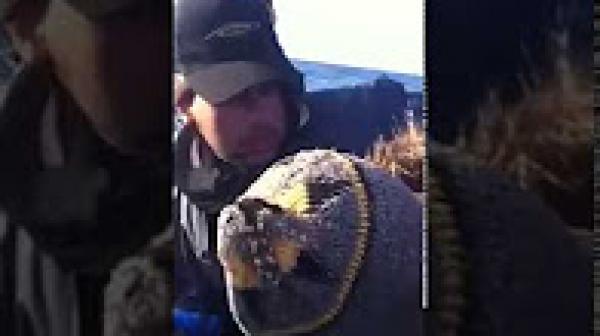 شاهد اجواء وتقشاب الحراكة المغاربة بقارب الموت وسط البحر