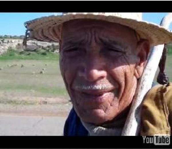 علامن نصوتوا واش علا بنادم ولا علا الحيوان