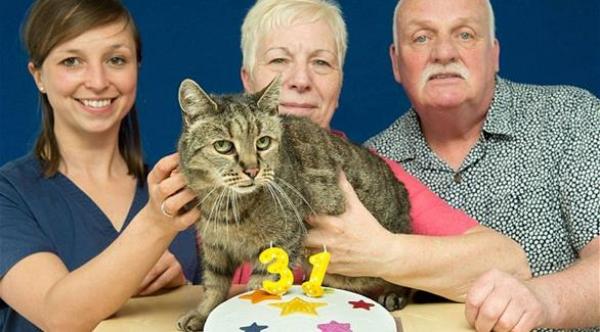 قط يبلغ 141 عاماً بمقاييس أعمار البشر