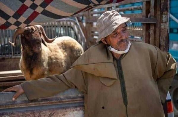 حقيقة صورة الفلاح التي زعزعت قلوب المغاربة يوم العيد