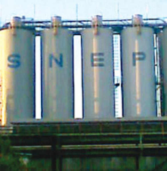 الشركة تستفيد من ارتفاع الطلب العالمي على البلاستيك