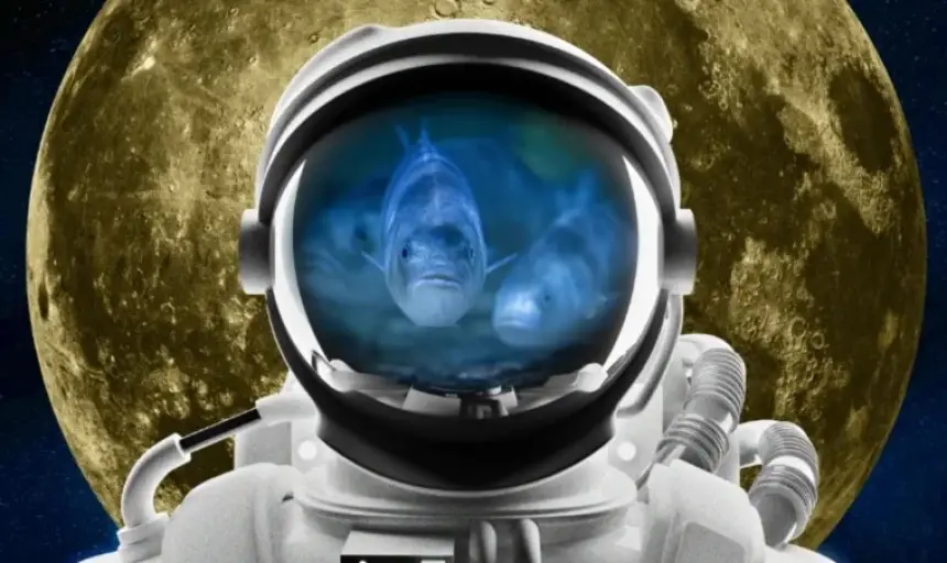 من القمر إلى المائدة: مشروع فرنسي طموح لتربية الأسماك في الفضاء