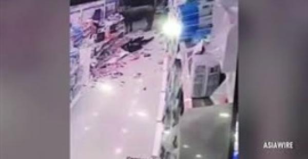 شاهد.. ثور هائج يقتحم متجرا ويهاجم امرأة حاملا