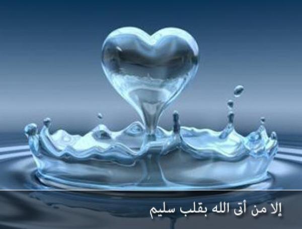 صِفَةُ القَلْبِ السَّلَيمِ لابْنُ القَيِمِ رَحِمَهُ الله