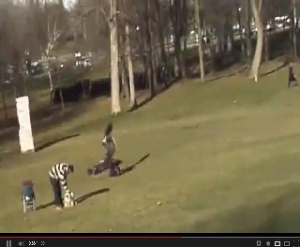 نسر ضخم يخطف طفلا من بين اسرته في الحديقة العامة