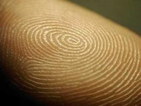 هل تعلم لماذا جعل الله لدينا بصمات الأصابع؟