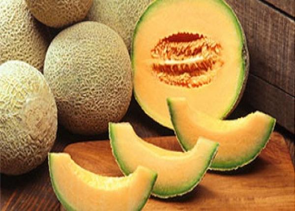 فوائد الكنتالوب عديدة أهمها إنقاص الوزن