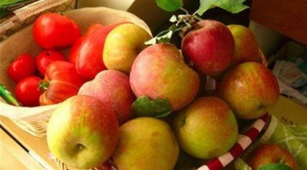 البكتين .. صديق المعدة