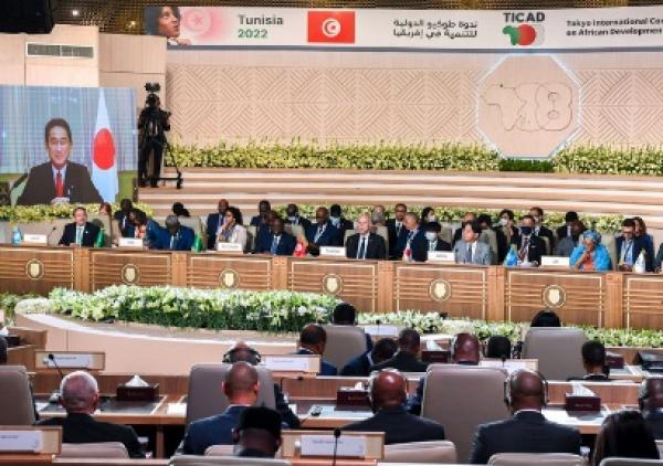 دولتان إفريقيتان تعبران عن أسفهما لغياب المغرب عن قمة "تيكاد"