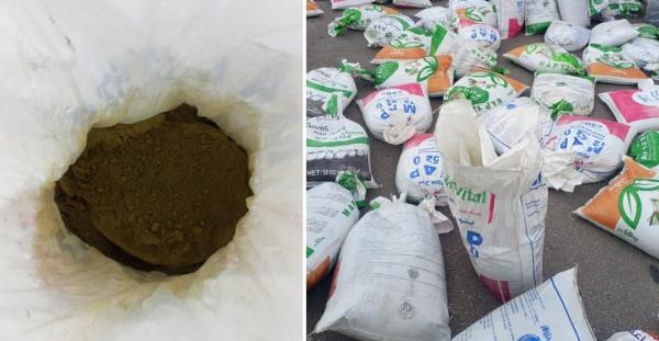 مخدرات في أكياس الحناء بميناء طنجة المتوسط(صور)