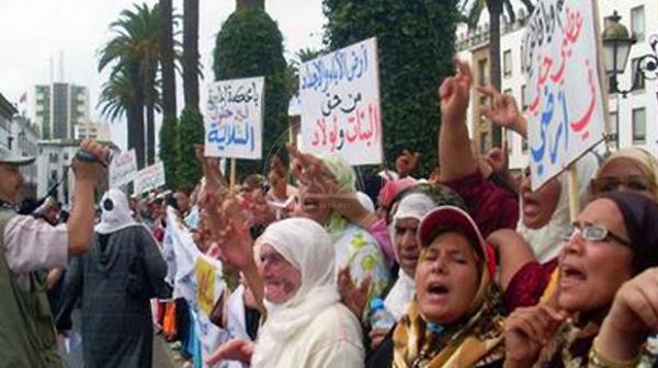 بالإجماع...نواب الأمة يصادقون على 3 مشاريع قوانين تتعلق بهذا النوع من الأراضي