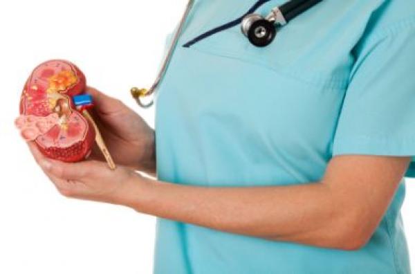 نصائح بسيطة تحميك من حصوات الكلى