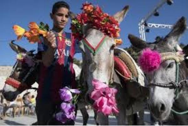 مصدر الصورة: مواقع التواصل