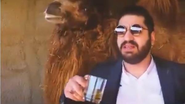 بالفيديو:مسؤول إيراني ينصح بشرب بول الإبل للشفاء من "كورونا"