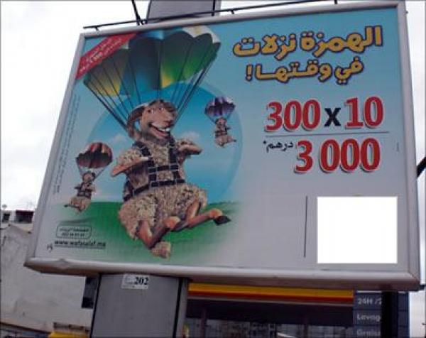 الأضاحي عبر القروض الربوية.. إفراغ للعبادات من مضامينها