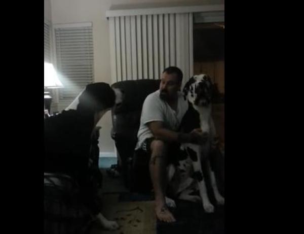 بالفيديو: غيرة كلب عملاق تجذب 4 ملايين مشاهد